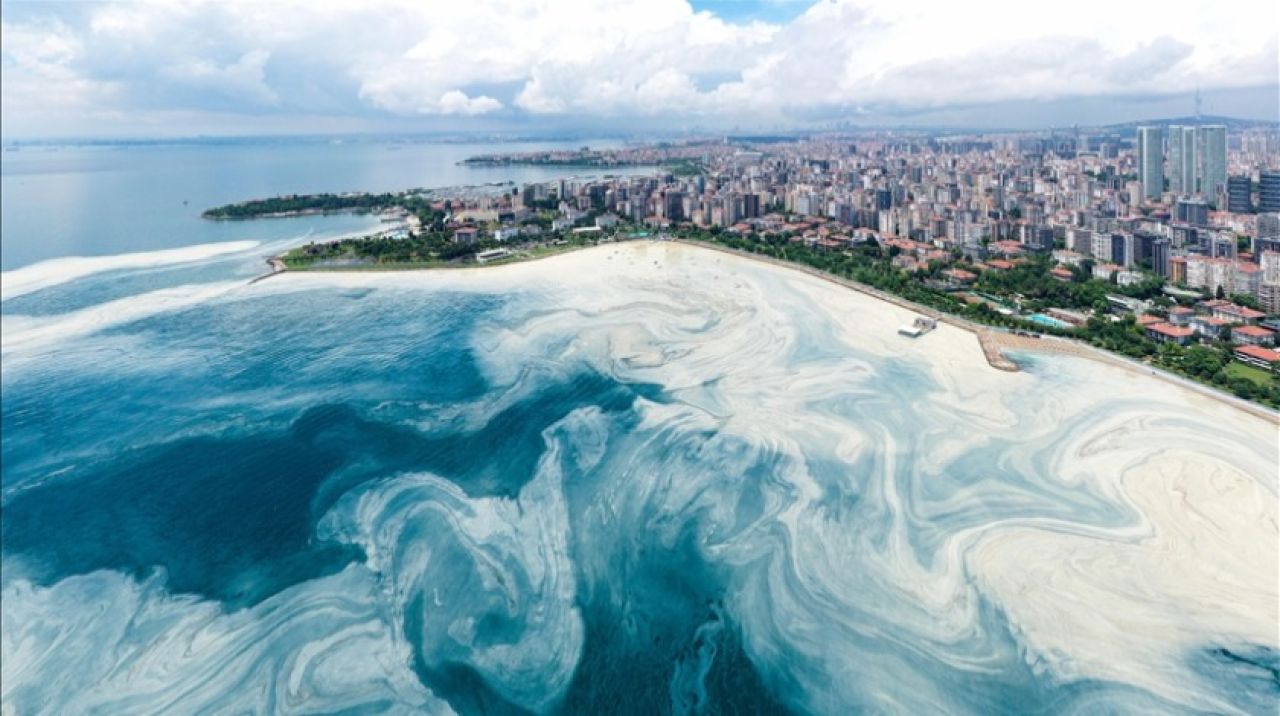 Caddebostan Sahili'nde müsilaj yoğunluğu arttı