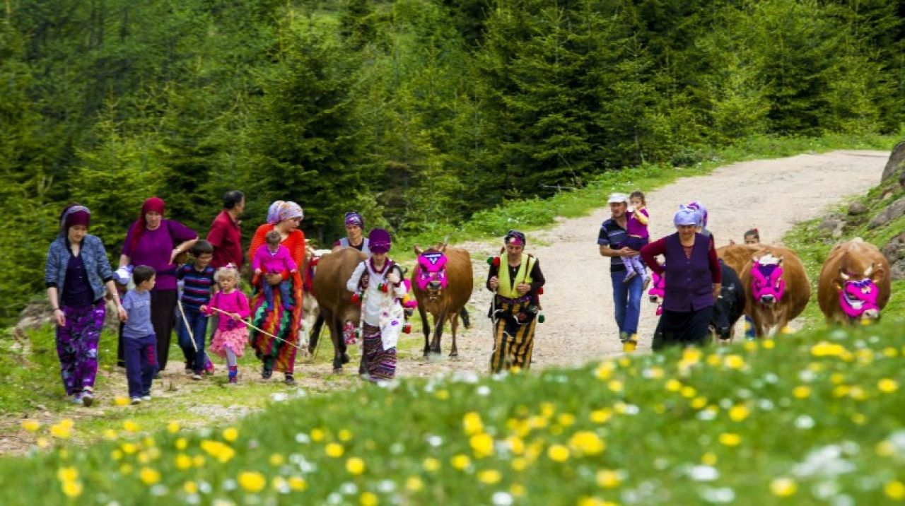 Yaylalara göç edenlere 'toplu buluşma' uyarısı