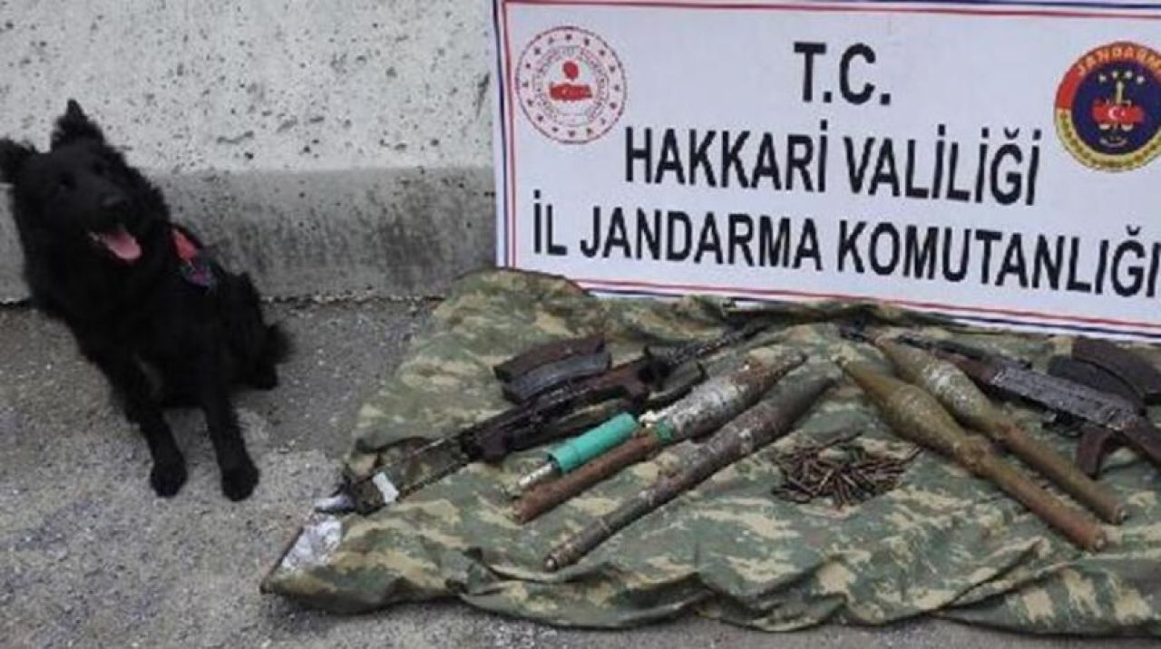 Hakkari'de terör örgütü PKK'nın inleri yerle bir edildi