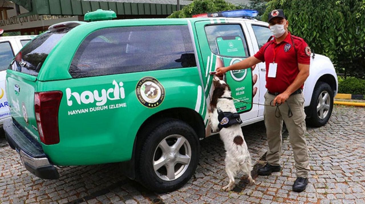 HAYDİ polisi nasıl olunur? HAYDİ polisi başvuruları nasıl, nereye yapılır?