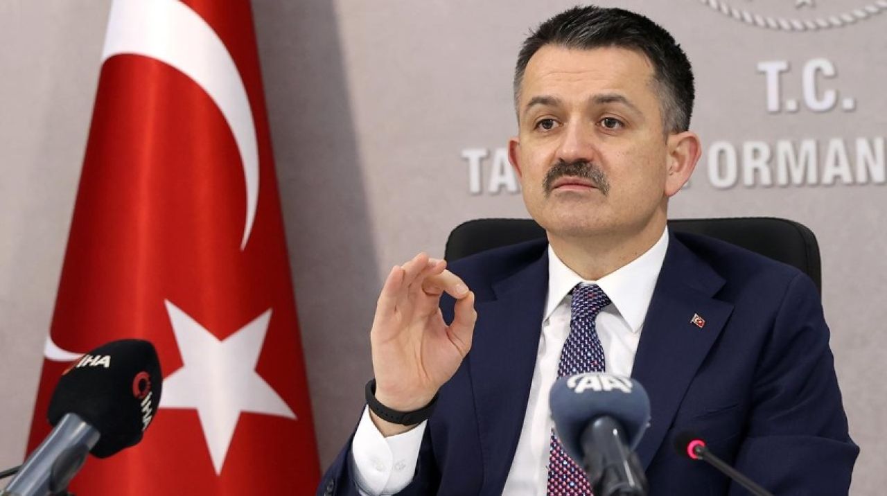 Bakan Pakdemirli: TMO fındık alım fiyatları için çalışma yapıyoruz