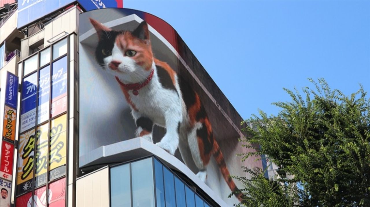 Tokyo'nun yeni misafiri 3D kedi, şehri izliyor ve halkı selamlıyor