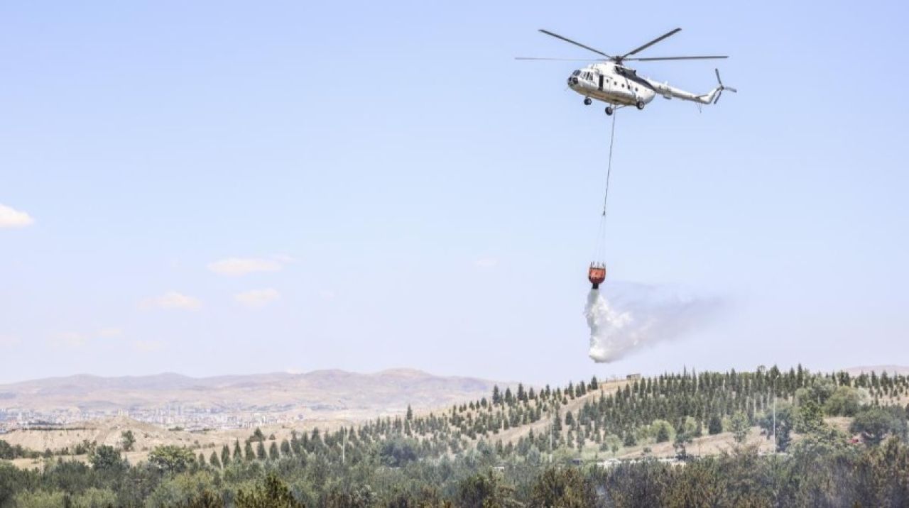 Ankara'da Atatürk Orman Çiftliği arazisinde yangın