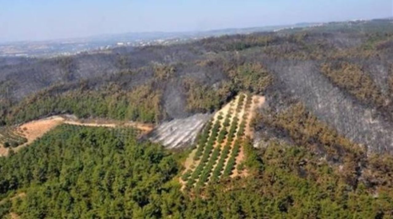 Valilik duyurdu! 1 Eylül'e kadar yasaklandı