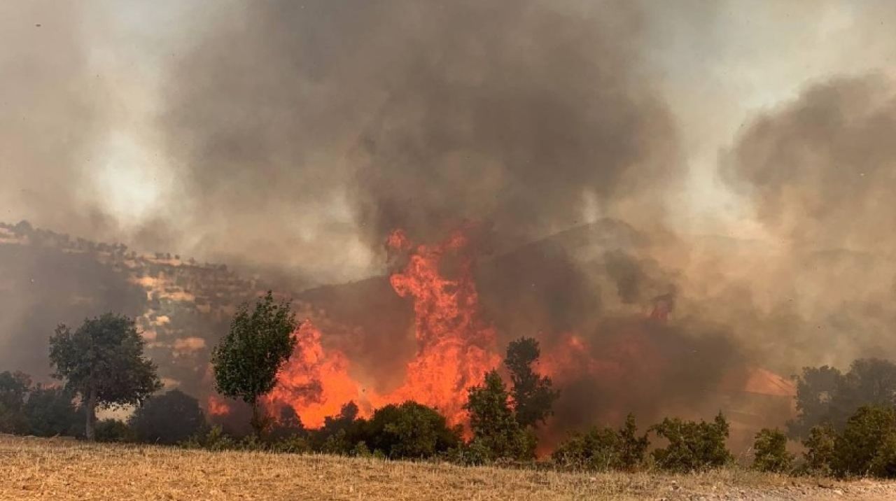 10 yılda 26 binden fazla orman yangını çıktı