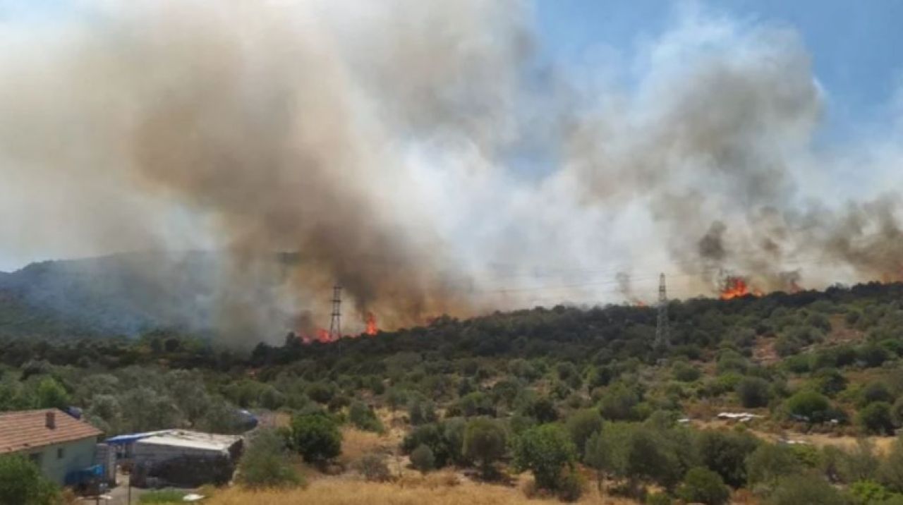 İzmir'de makilik alanda yangın çıktı