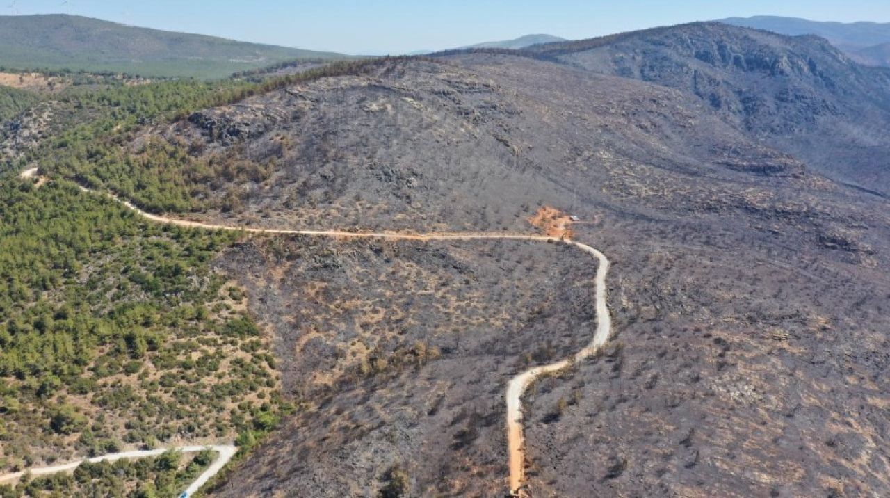 OGM Müdürü Karacabey: Bu alanlar eski yeşil dokusuna kavuşacak