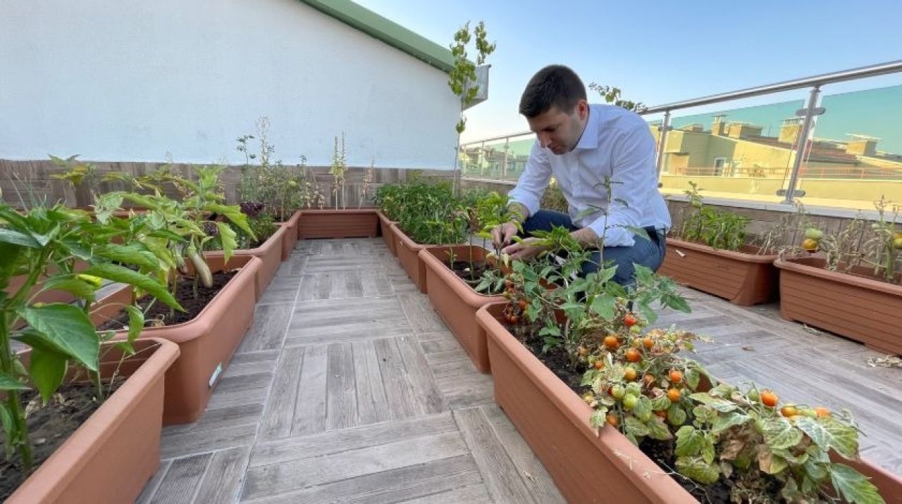 Ülkü Ocaklarından sürdürülebilir tarım projesi “Permakültür”