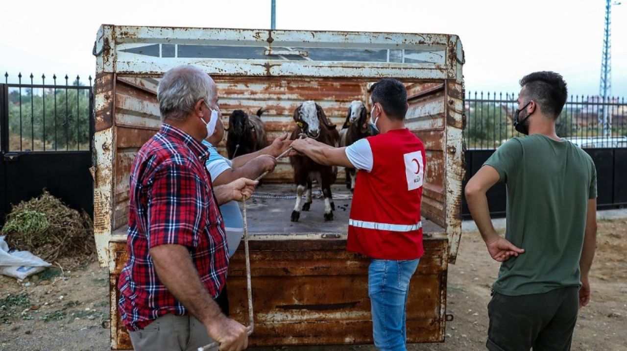 Türk Kızılay'dan Manavgat'ta küçükbaş hayvan yardımı