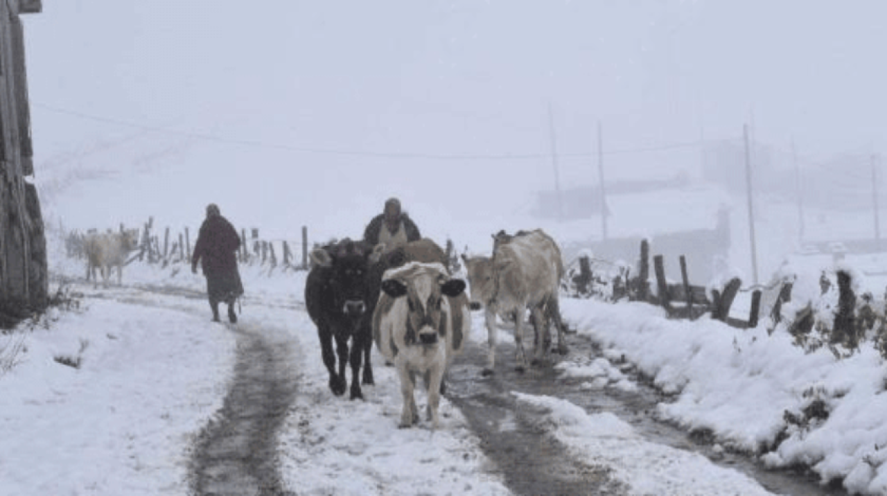 Kış gelmeden kar geldi! Kar kalınlığı 30 santimetreye ulaştı