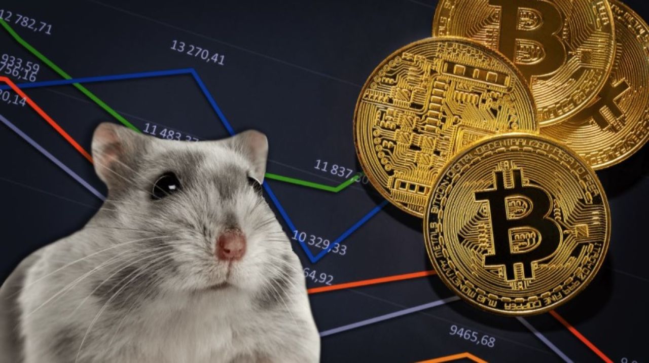 Hamster coin nedir, çıktı mı? Hamster coin ne zaman çıkacak, kaç lira?