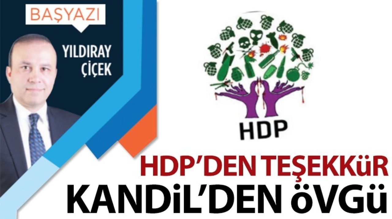 HDP'den teşekkür, Kandil'den övgü