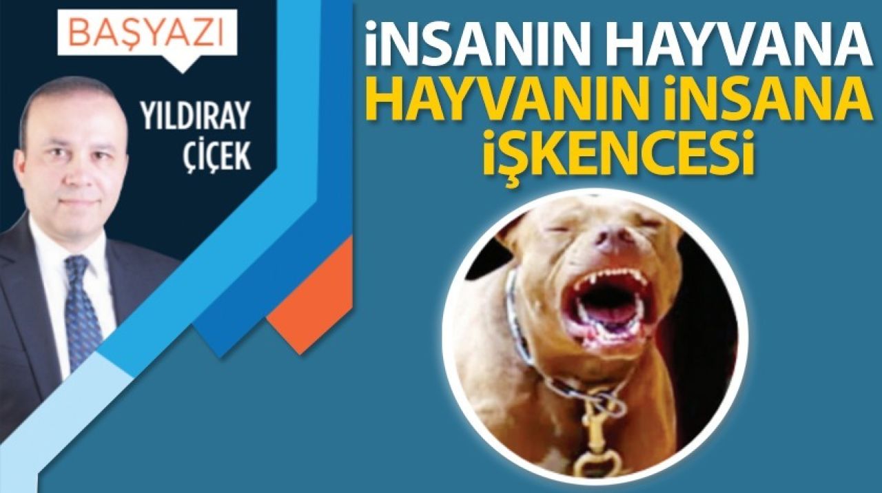 İnsanın hayvana, hayvanın insana işkencesi