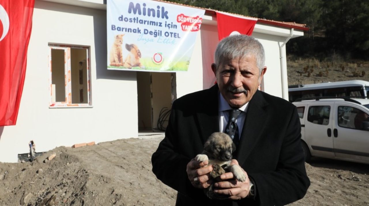 Amasya, modern hayvan barınağında sona gelindi