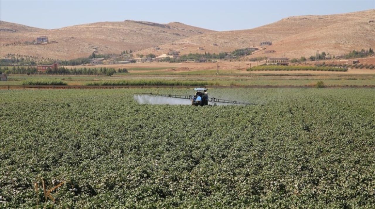 Tarım Kredi gübre fiyatlarında yüzde 30'a varan indirim yaptı