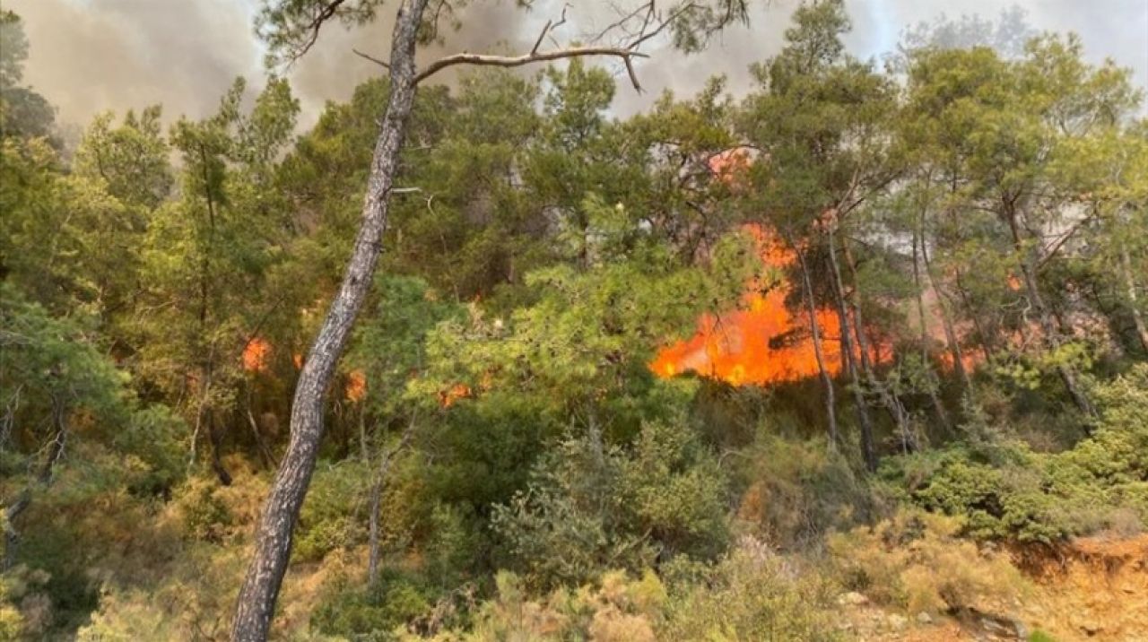 Fethiye'de çıkan orman yangınında 5 dönüm alan zarar gördü