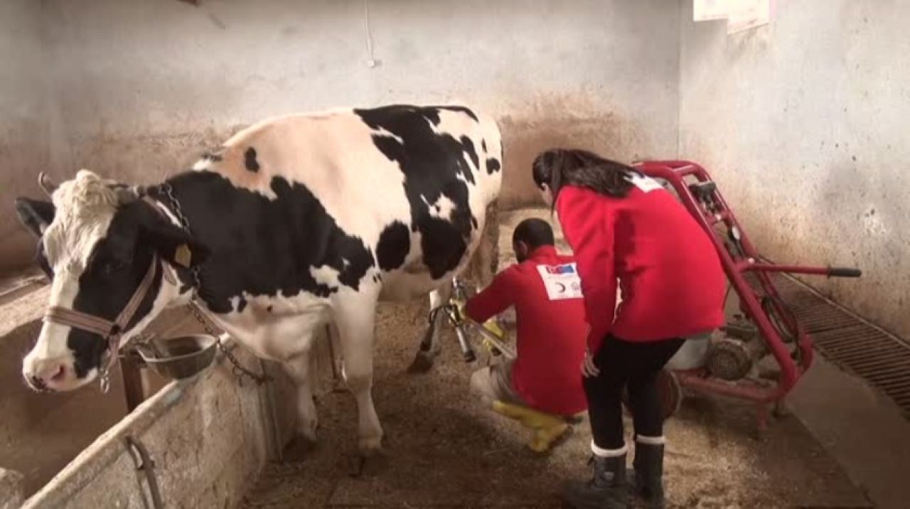 Türk Kızılayın çiftliği hem öğretiyor hem yaşatıyor