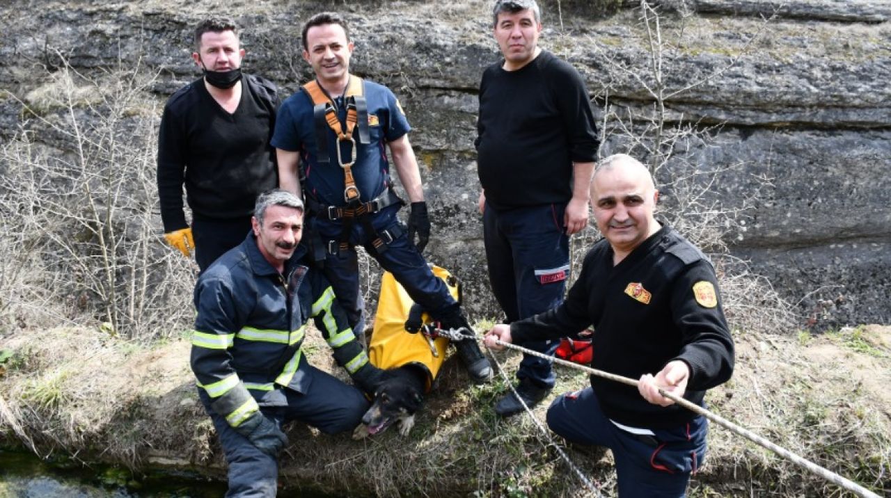 Karabük'te itfaiye ekipleri kalan köpeği kurtardı