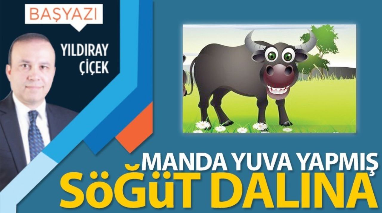 Manda yuva yapmış söğüt dalına