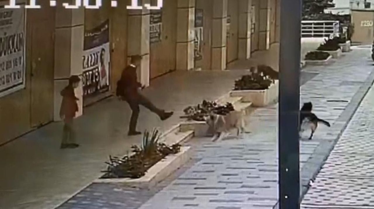 Köpek saldırısını yaşayan çocuk dehşet anlarını anlattı!