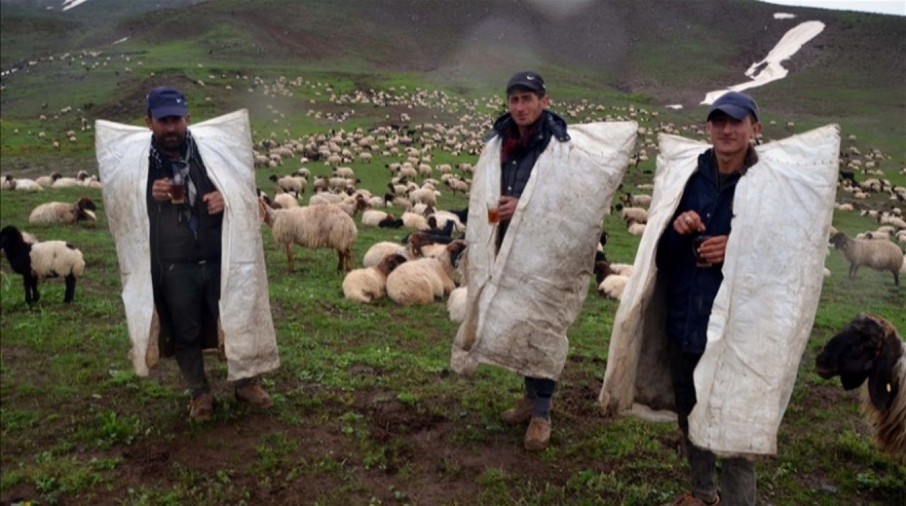 Muş'ta göçerlerin yayla mesaisi başladı