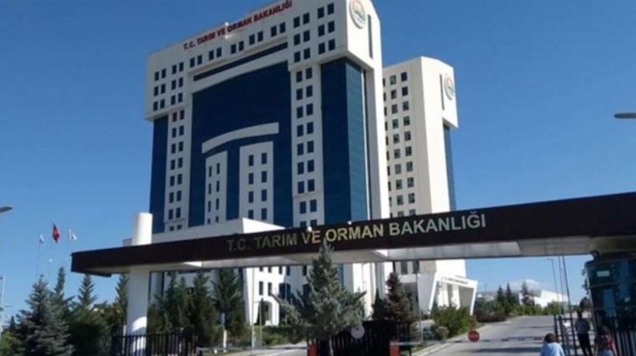 Tarım ve Orman Bakanlığı 1 Sürekli İşçi alıyor