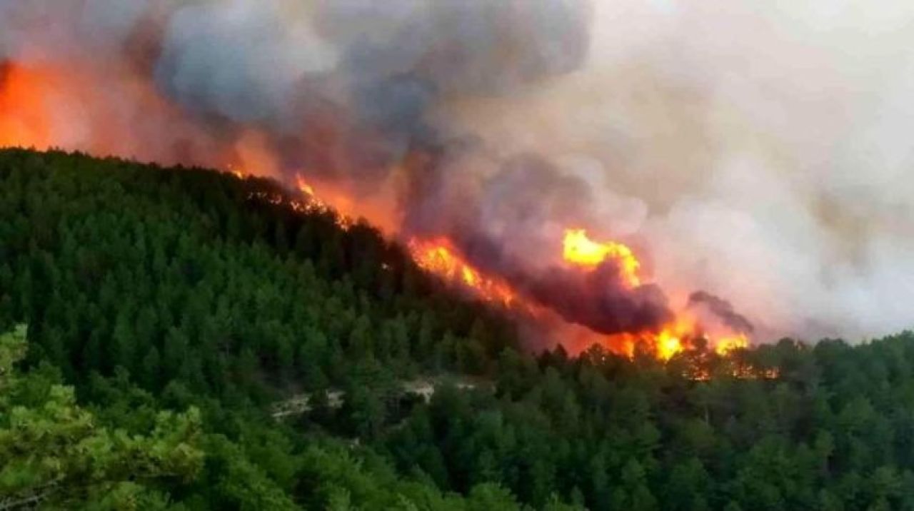 Kütahya'da orman yangını! Bölgeye çok sayıda ekiple birlikte helikopter ve uçak da sevk edildi