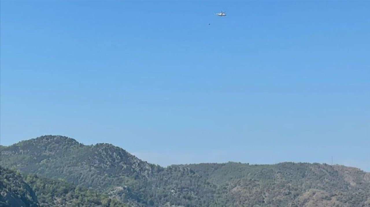 Muğla'da çıkan orman yangını söndürüldü