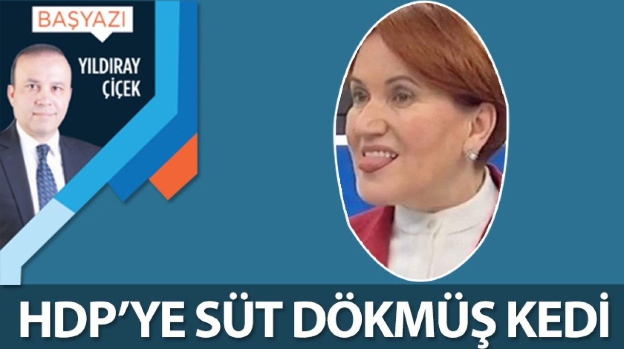 HDP'ye süt dökmüş kedi