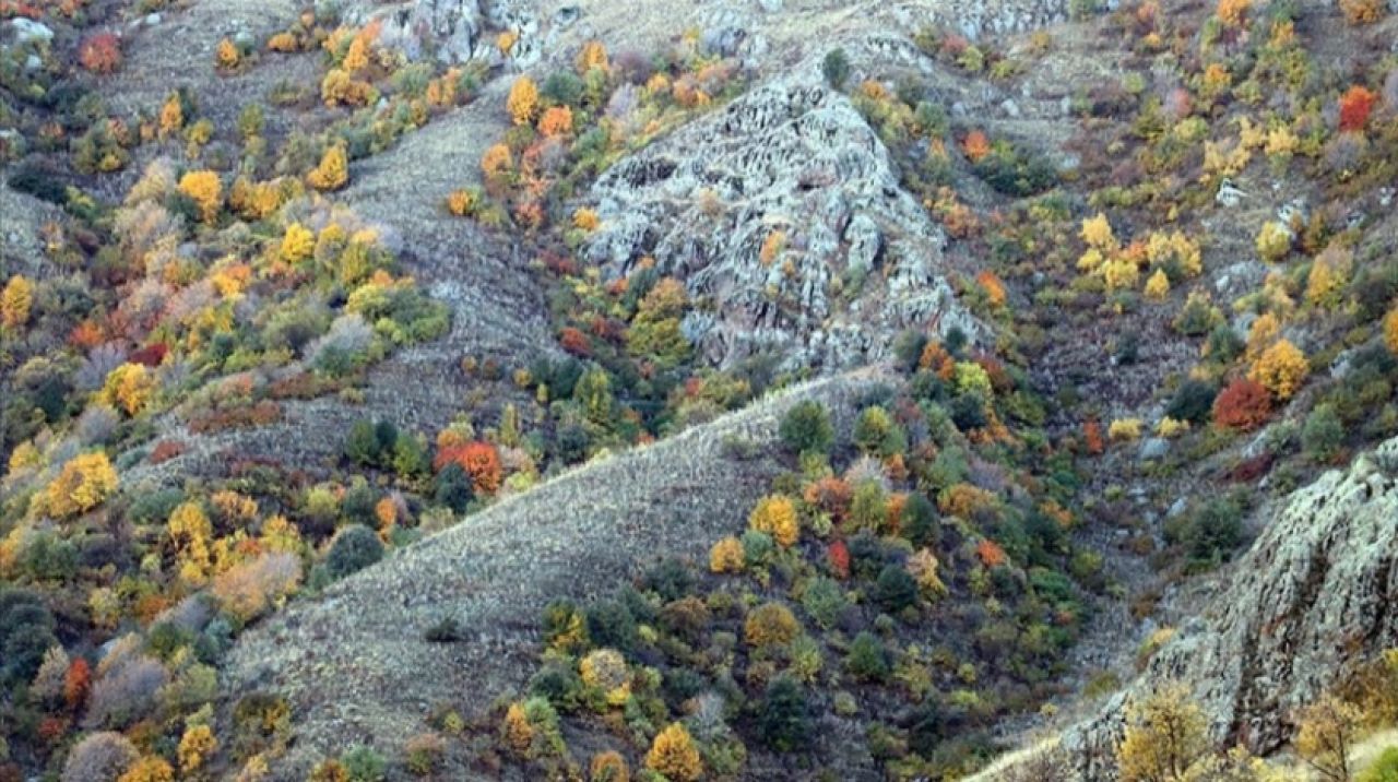 Ağrı sonbahar renklerine büründü