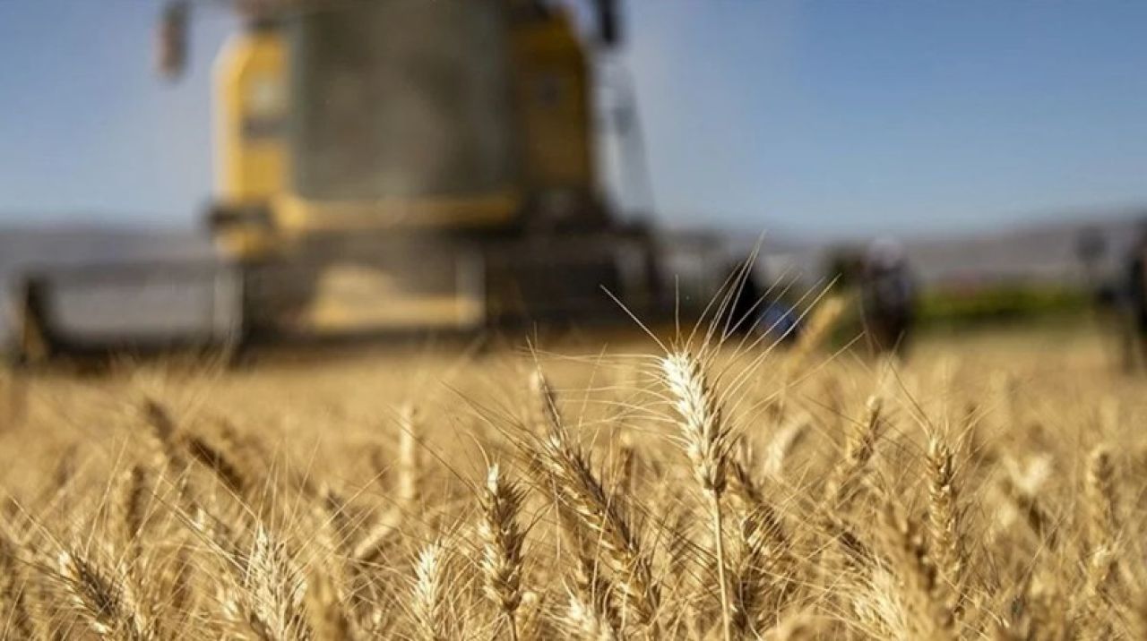 Tarımsal destek ödemeleri bugün yapılacak