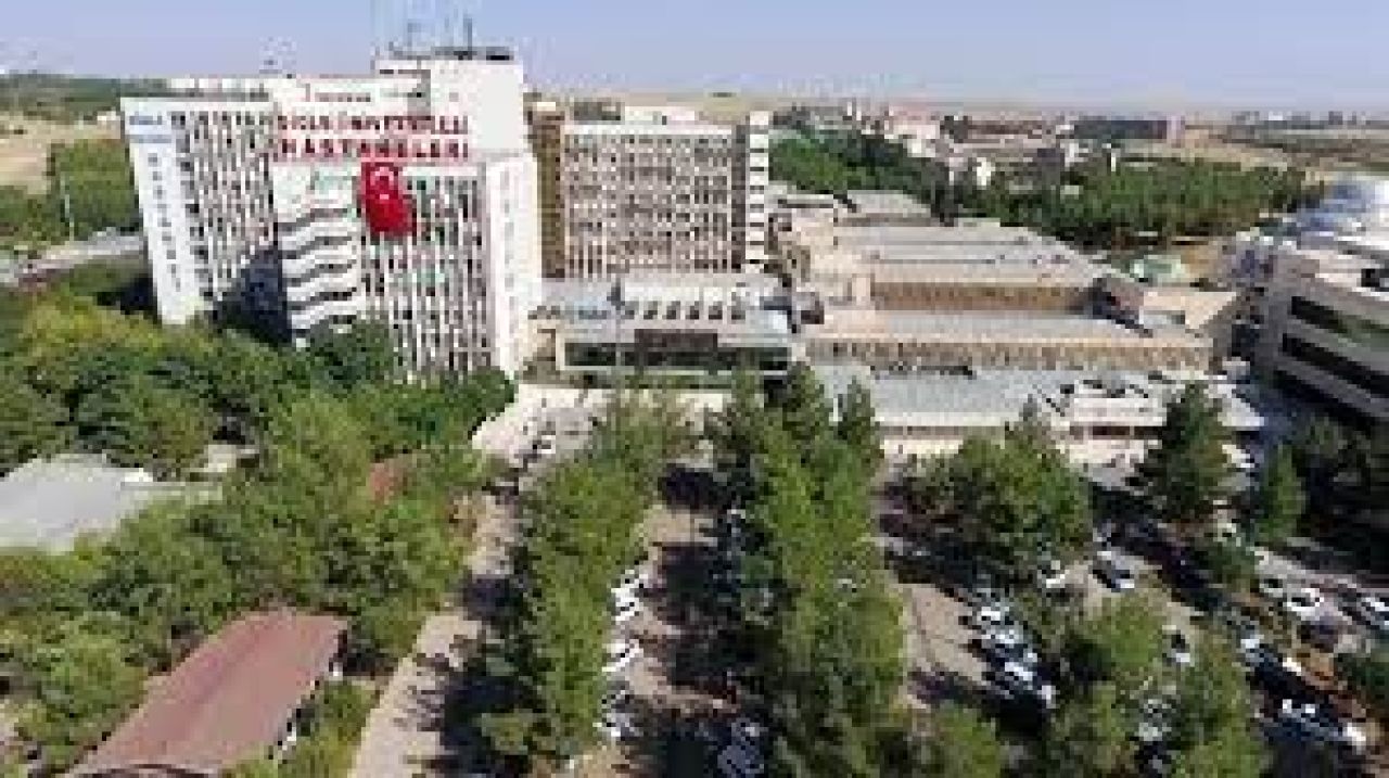 Dicle Üniversitesi Araştırma Görevlisi ve Öğretim Görevlisi alıyor