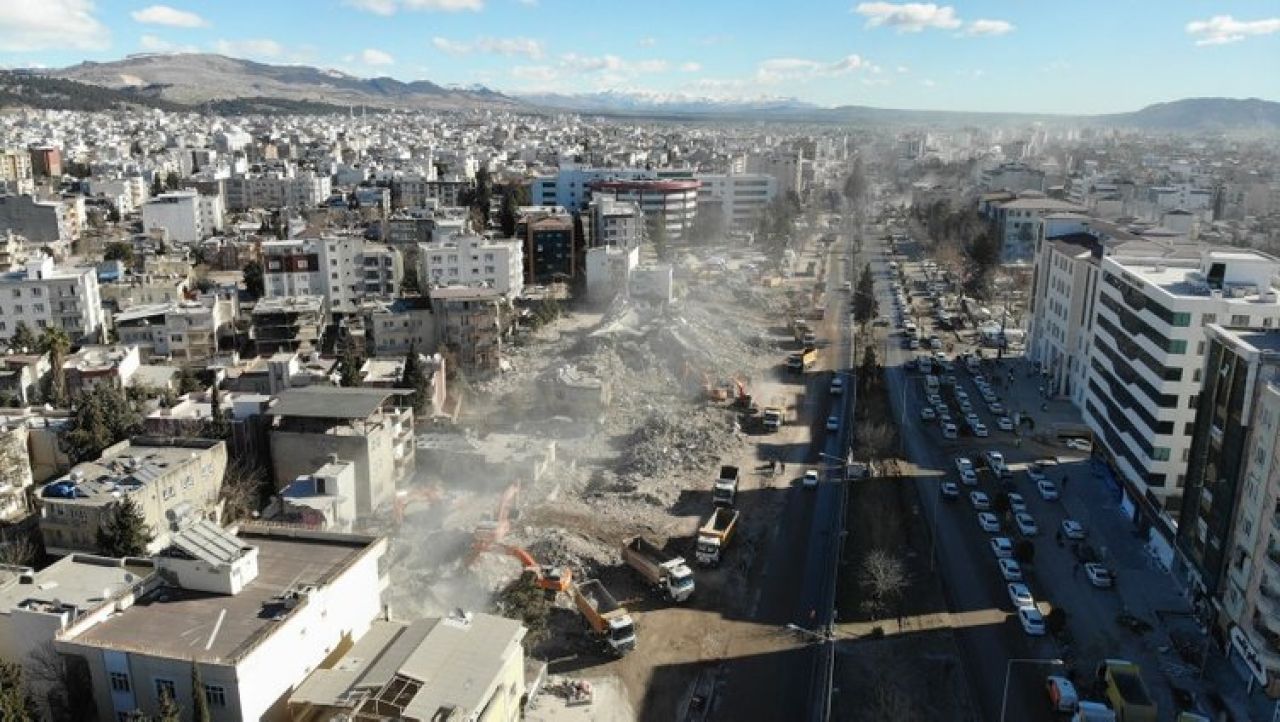 Bilim dünyasını ikiye bölen soru: Hayvanlar depremi önceden hissedebilir mi?