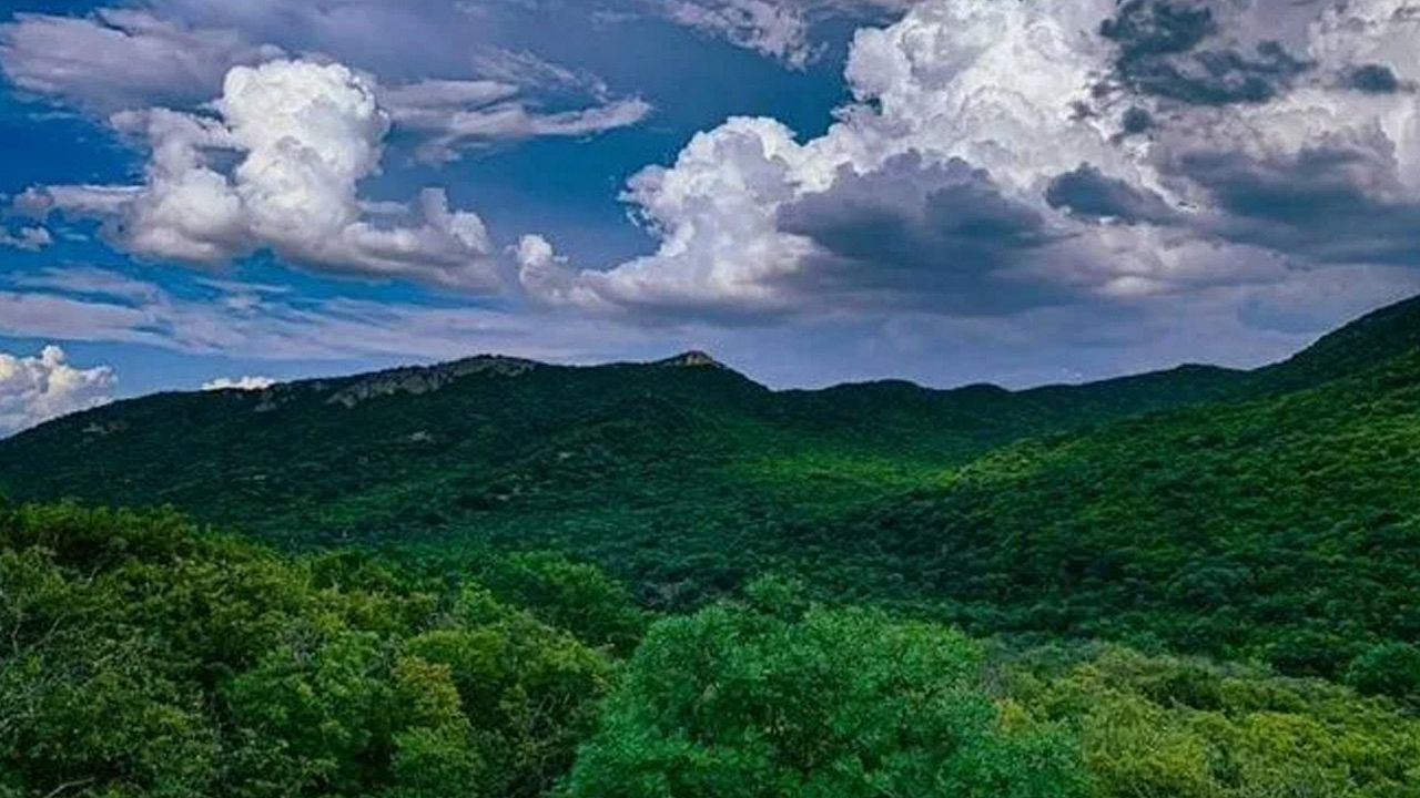 Dünyanın en temiz havasına sahip ülkeler belli oldu