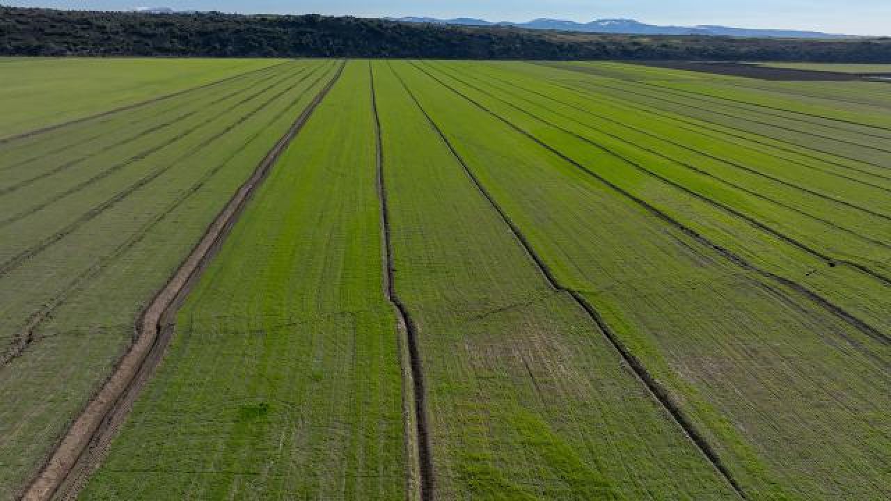 Deprem bölgesinde tarım sektörüne yönelik yeni tedbirler alındı