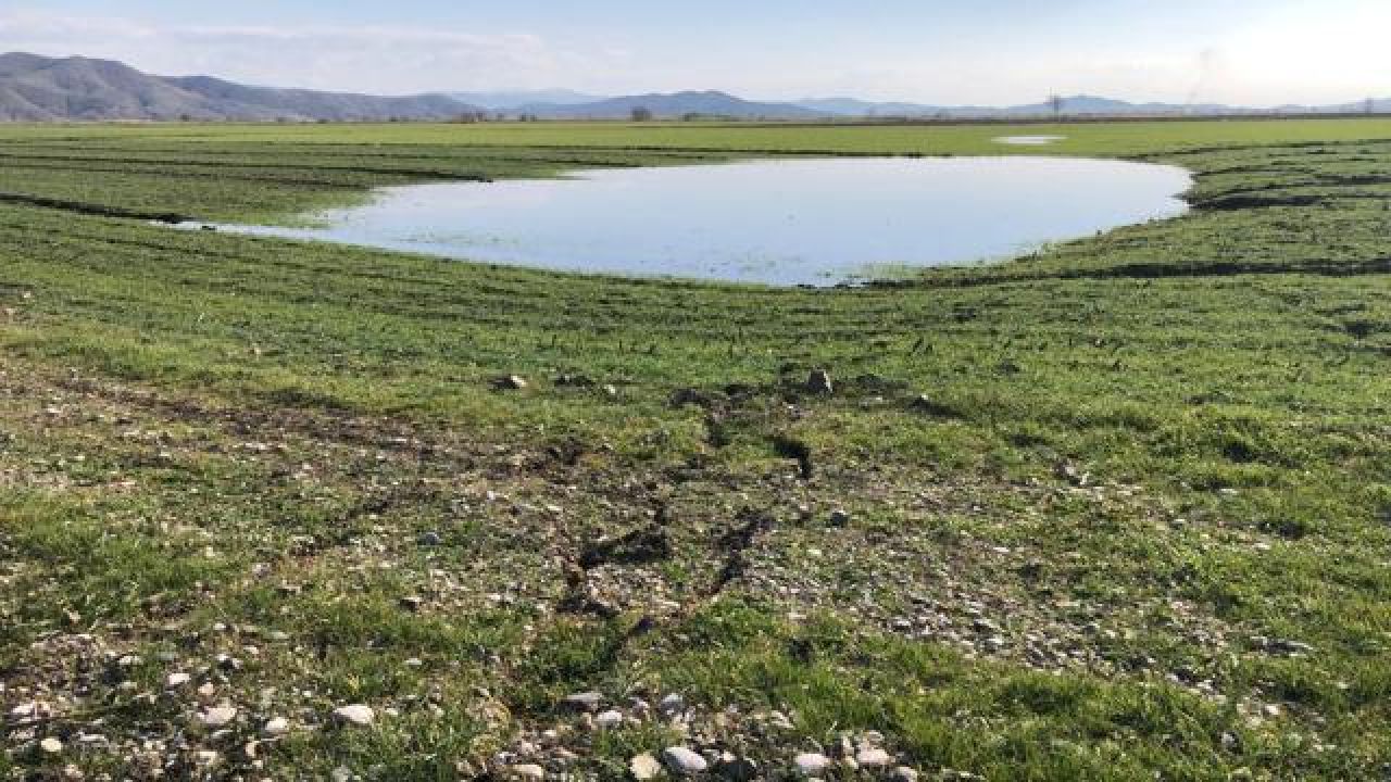 Depremin tarım sektörüne zararı 24,2 milyar lirayı buldu