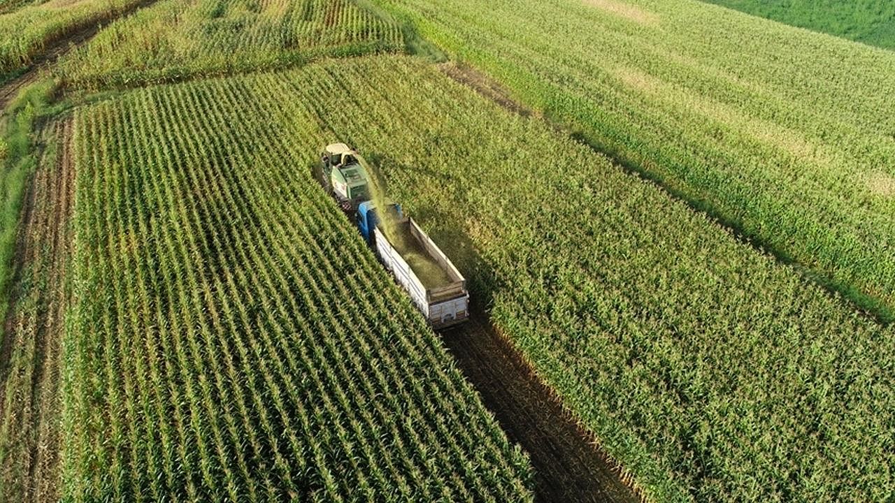 Tarım sektörüne yönelik müjdelerinin detayları belli oldu