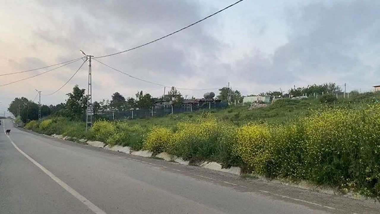 İstanbul'da attan düşen kadın öldü