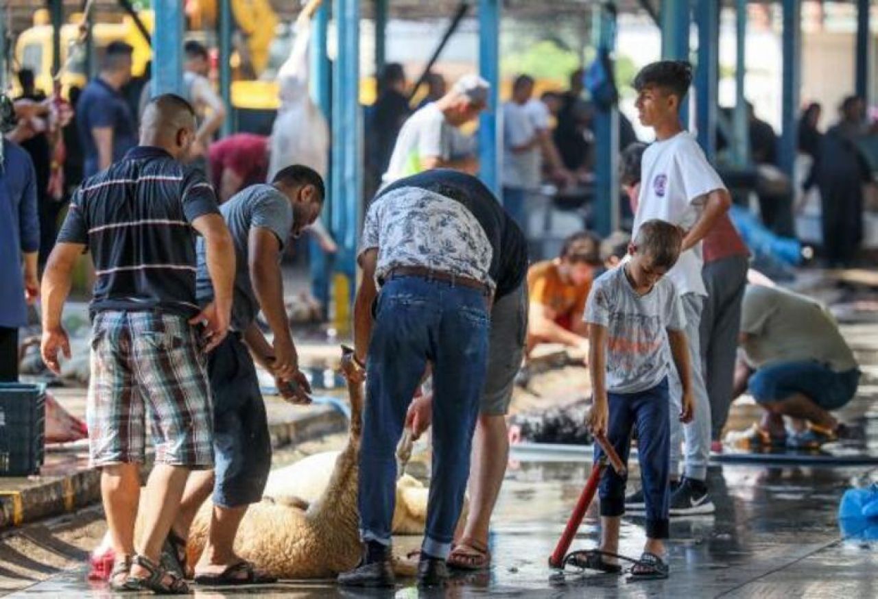 İşte sokakta kurban kesip atıklarını gömmenin cezası!