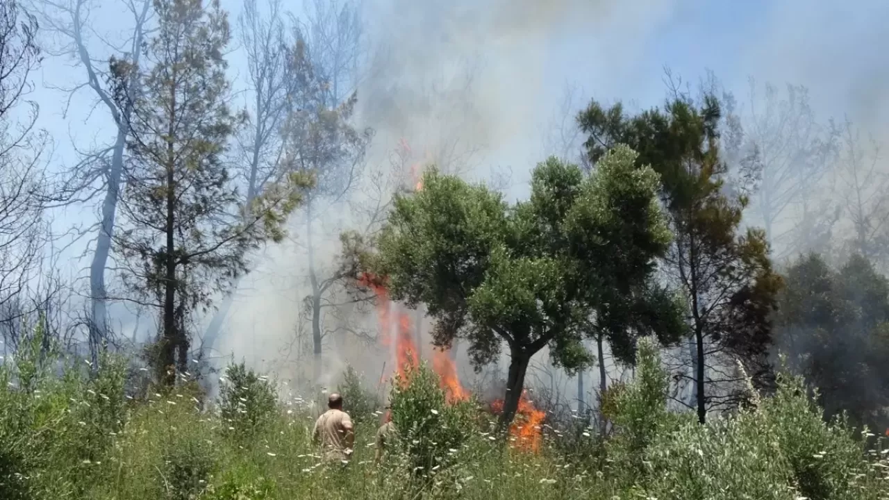 Antalya Valiliği'nden ''4 kilometre'' uyarısı: 31 Ekim'e kadar yasaklandı