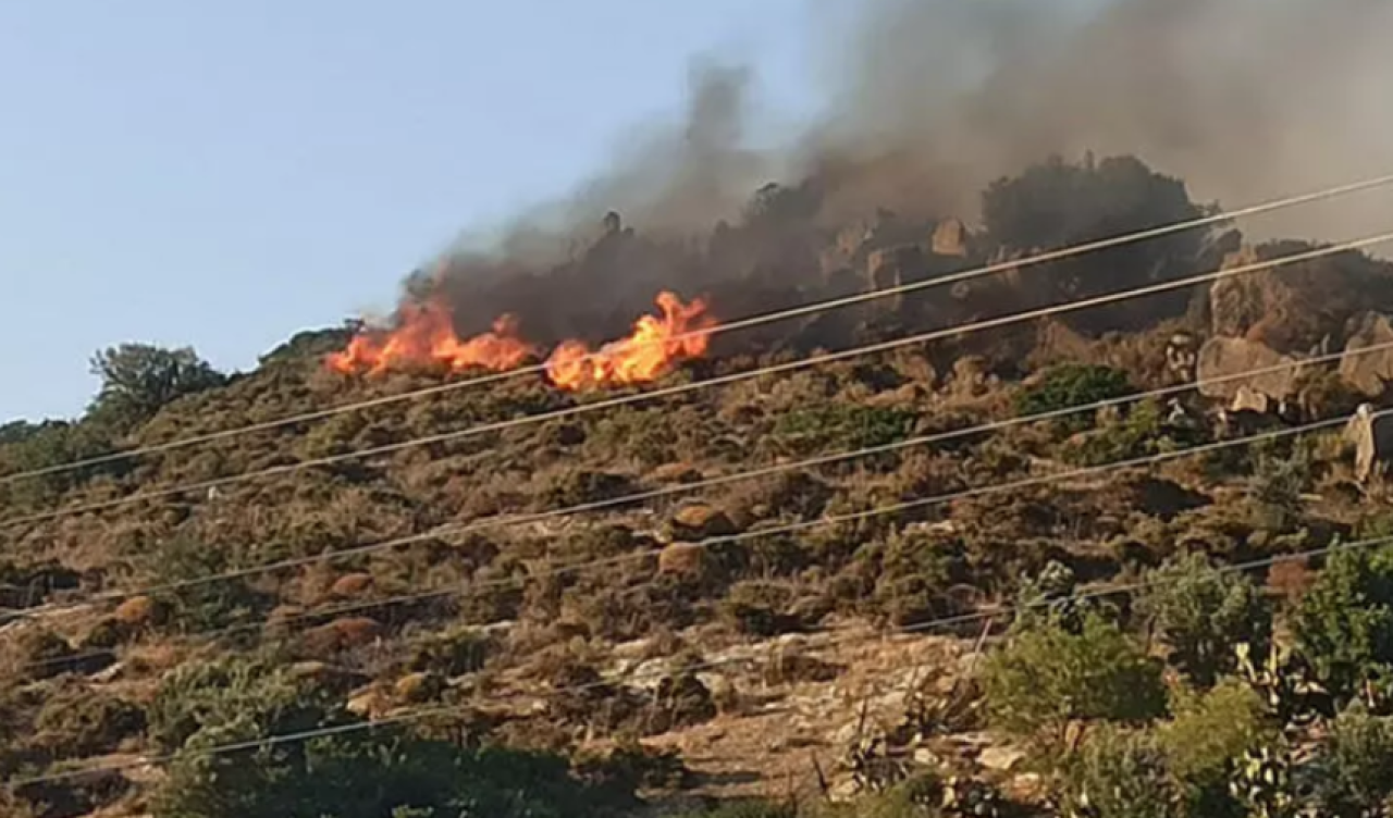 Datça'da orman yangını