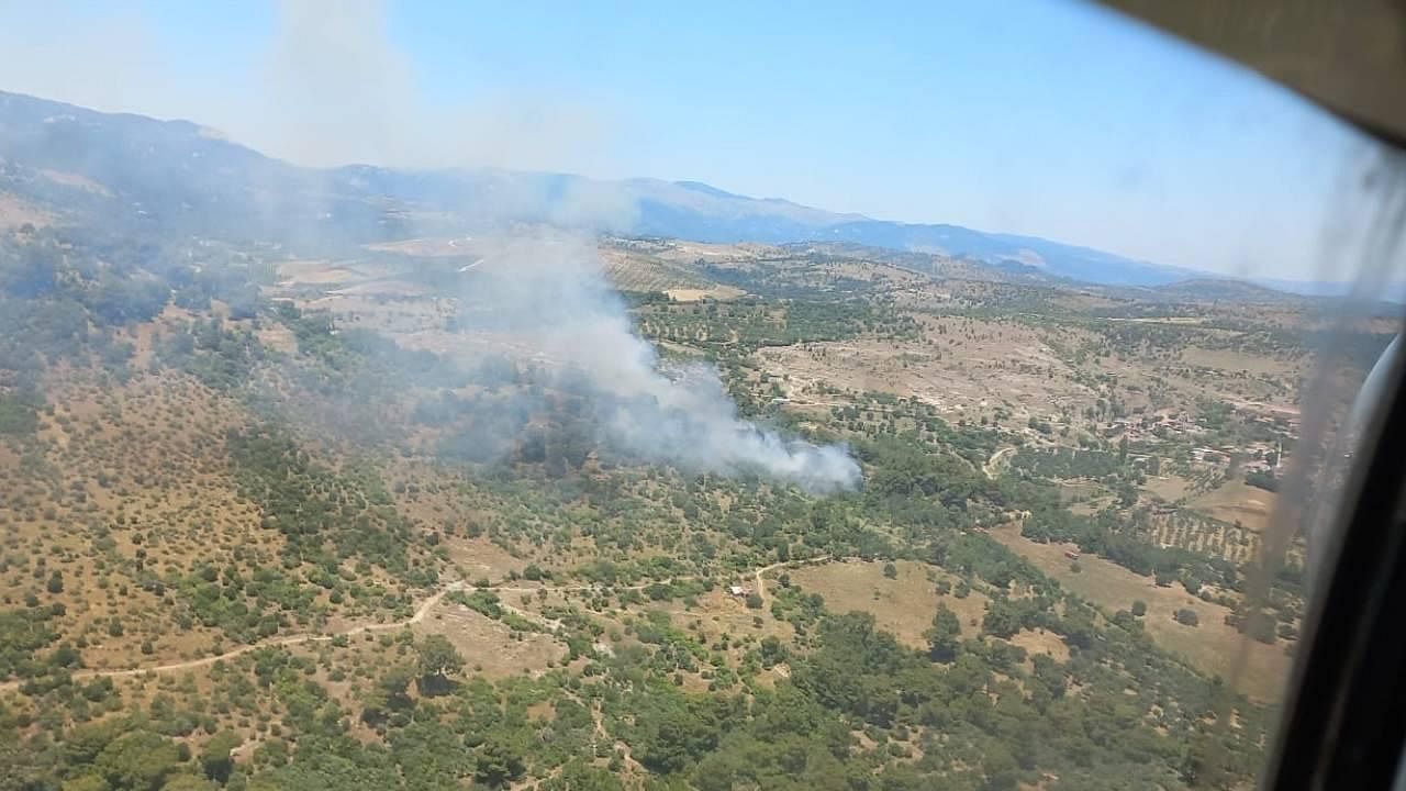 İzmir'de orman yangını