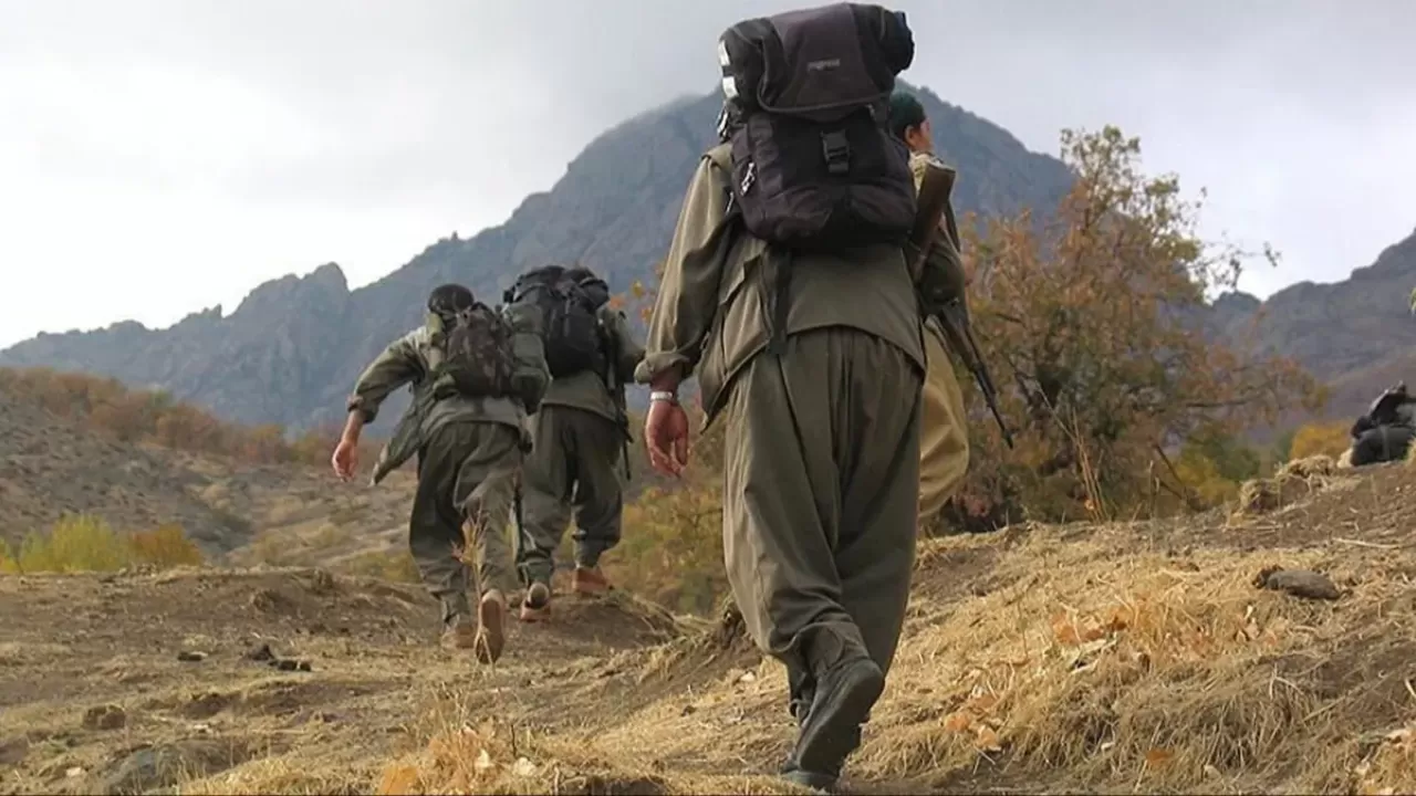 MSB: Barış Pınarı bölgesinde 1 PKK/YPG'li terörist Komandolarımıza teslim oldu