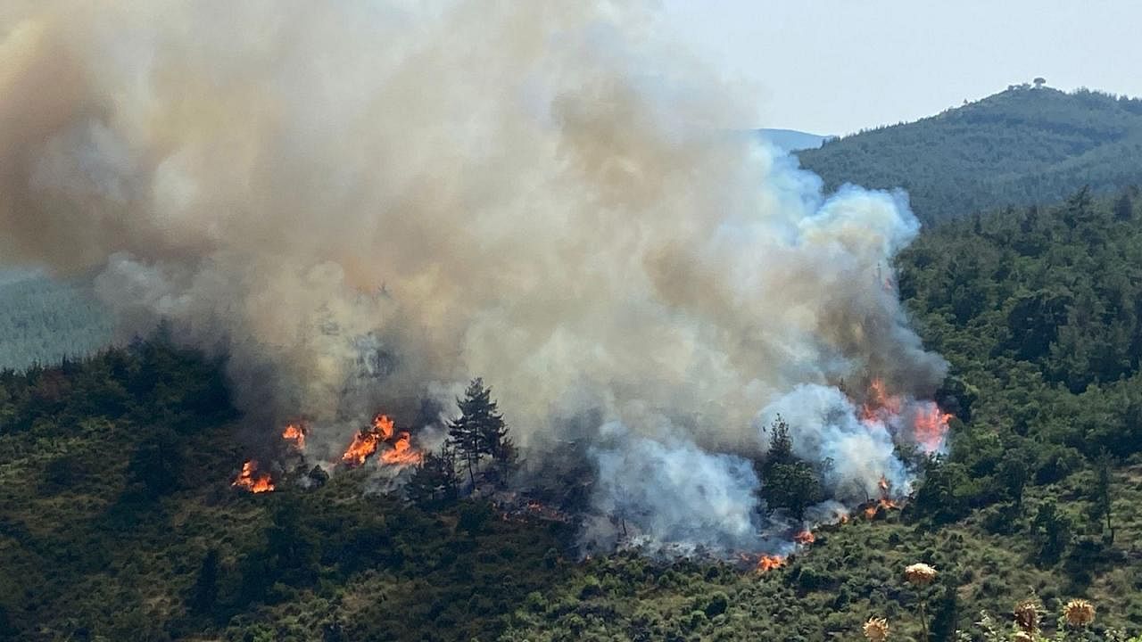 Balıkesir'de orman yangını