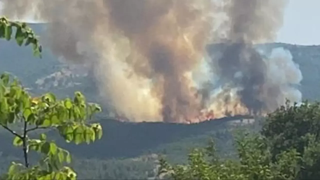 Beykoz'da orman yangını! Çok sayıda ekip sevk edildi