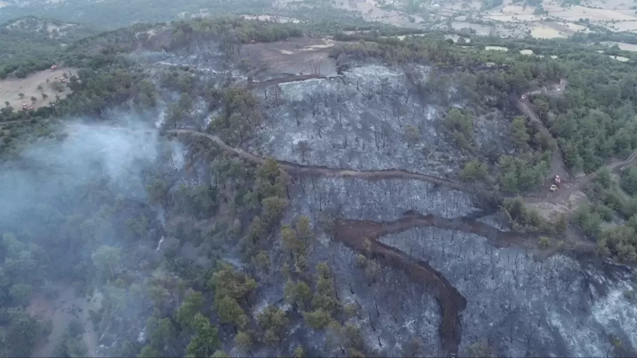 Çanakkale'deki orman yangını kontrol altına alındı