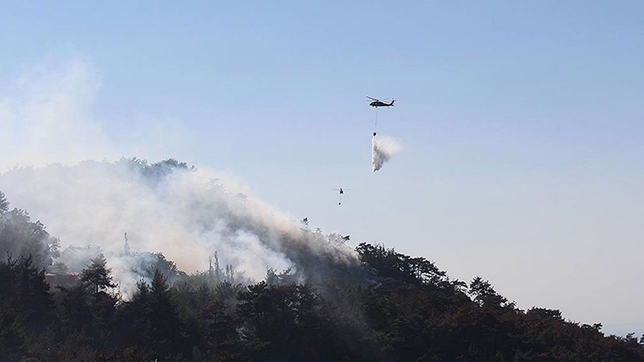 Hatay'daki orman yangınıyla ilgili 1 kişi tutuklandı