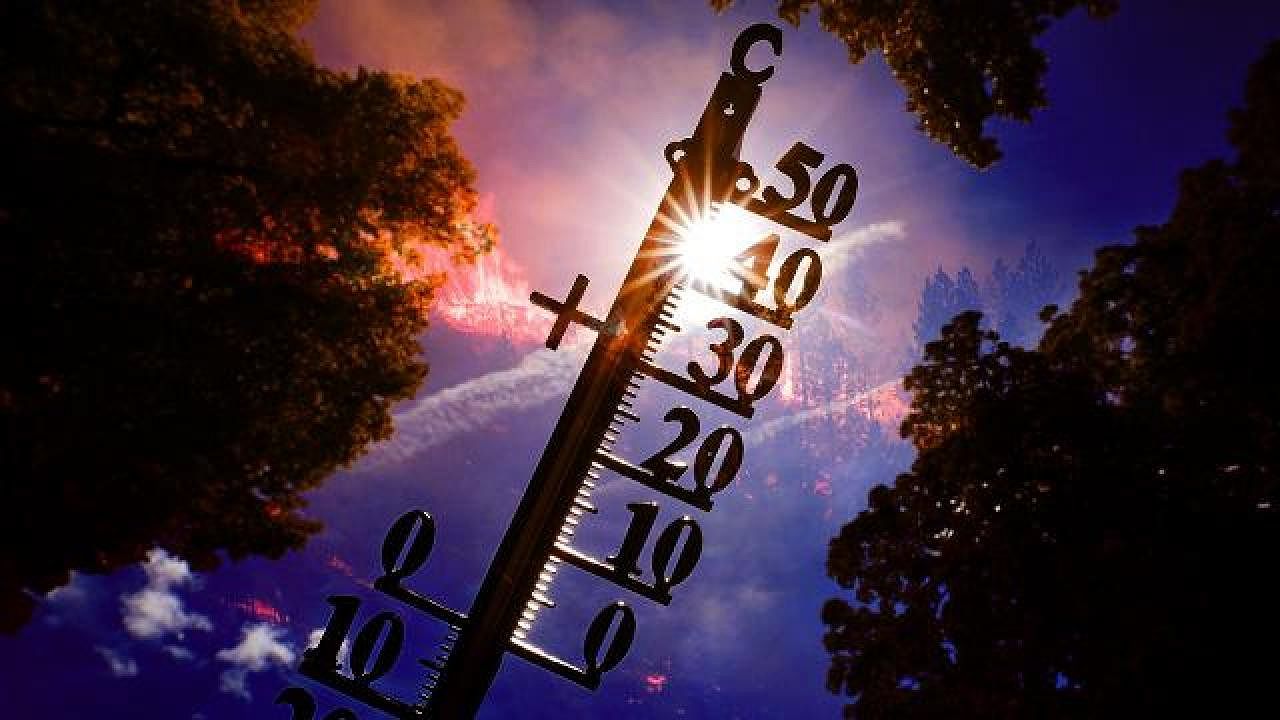 Dünya Meteoroloji Örgütü: Daha yoğun sıcaklık dalgalarına hazır olmalıyız