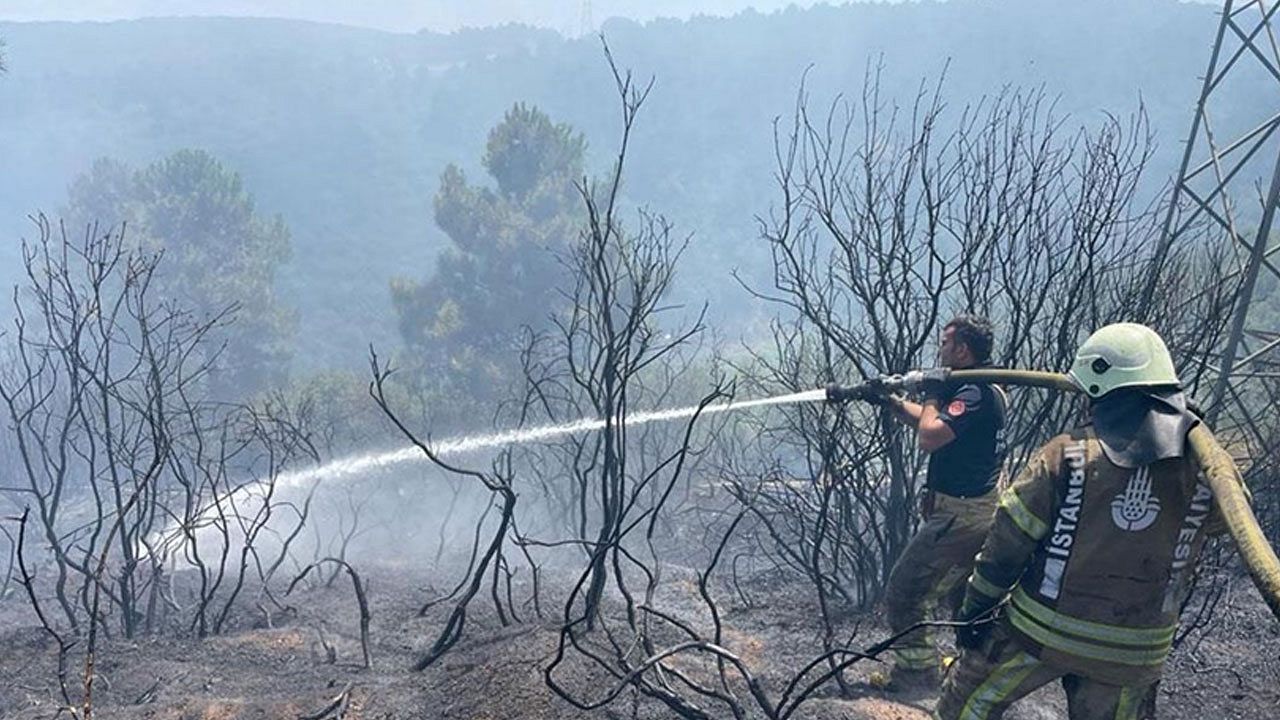 İstanbul'da ormanlık alanda yangın çıktı