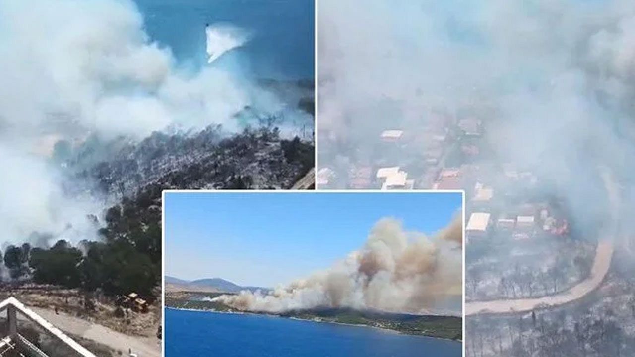 İzmir'in iki ilçesinde orman yangını